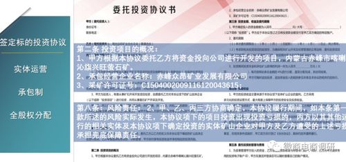 调查 从众安实业到众昂矿业,投资人怎样才能拿到矿山股份成为 矿主